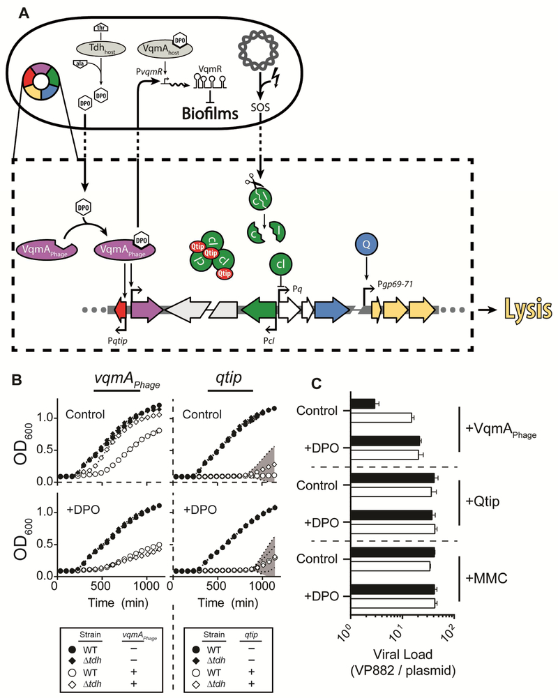 Figure 6: