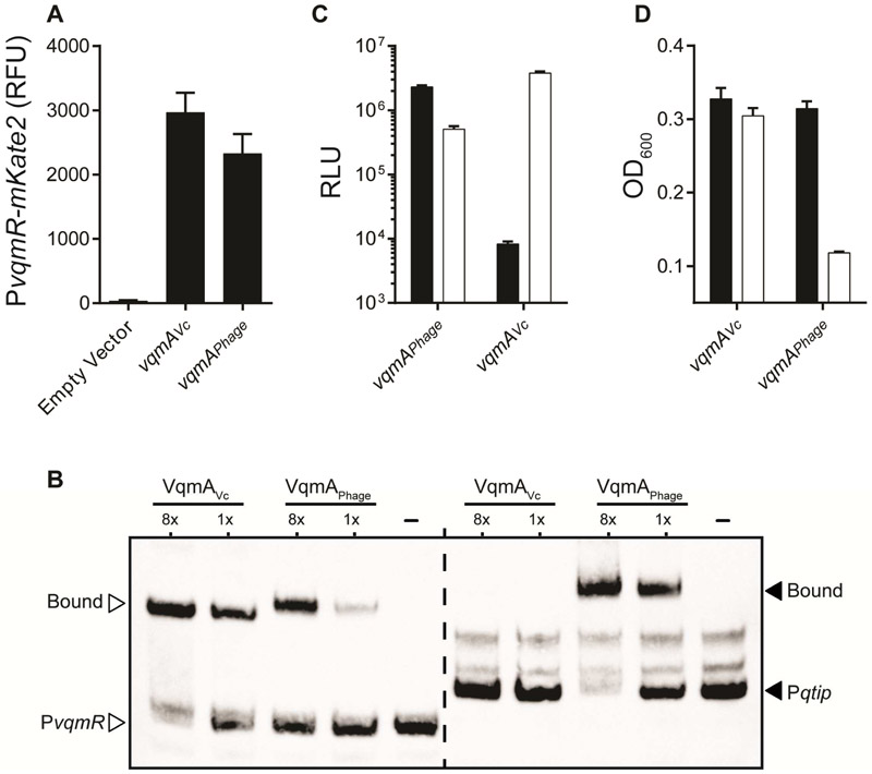 Figure 5: