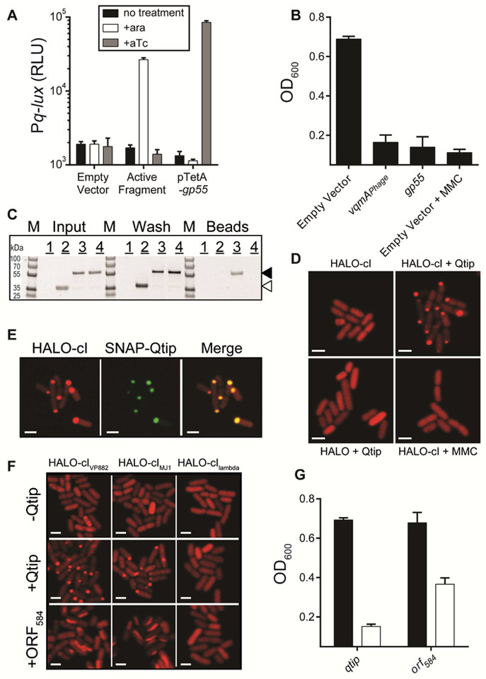 Figure 4: