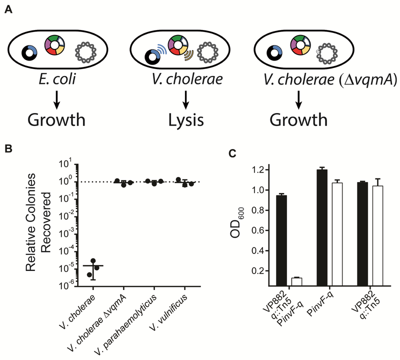 Figure 7: