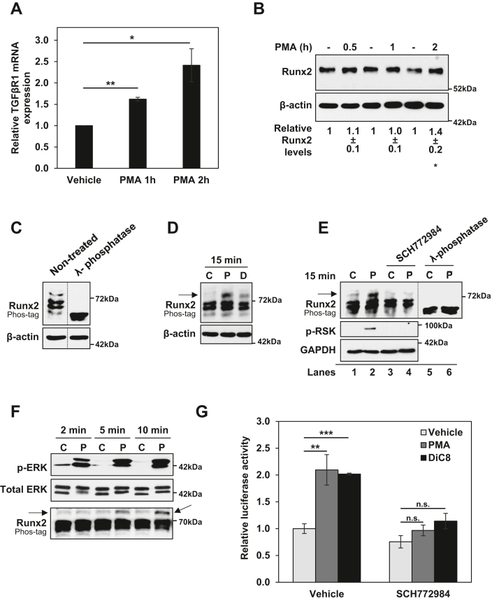 Figure 6