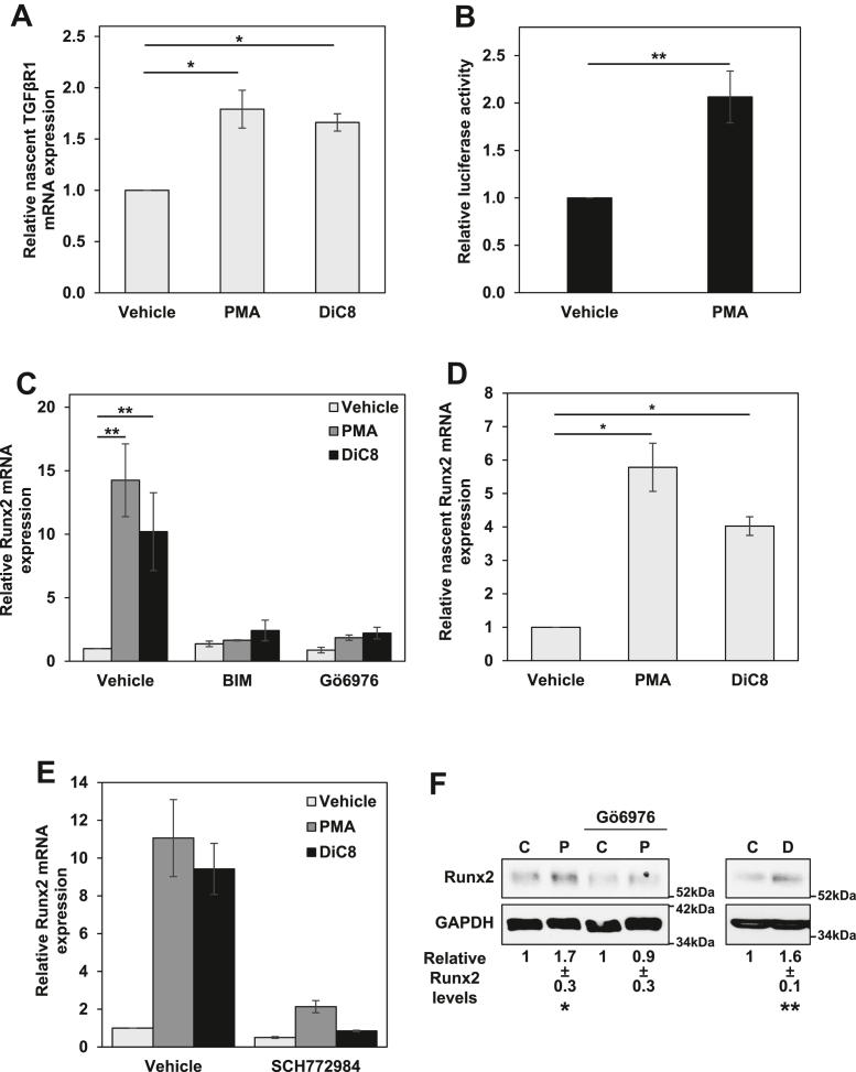 Figure 5