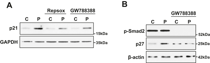 Figure 10