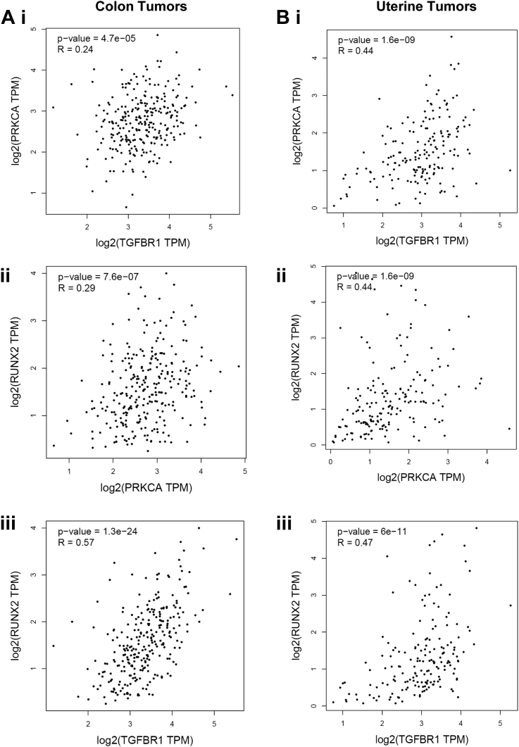 Figure 11