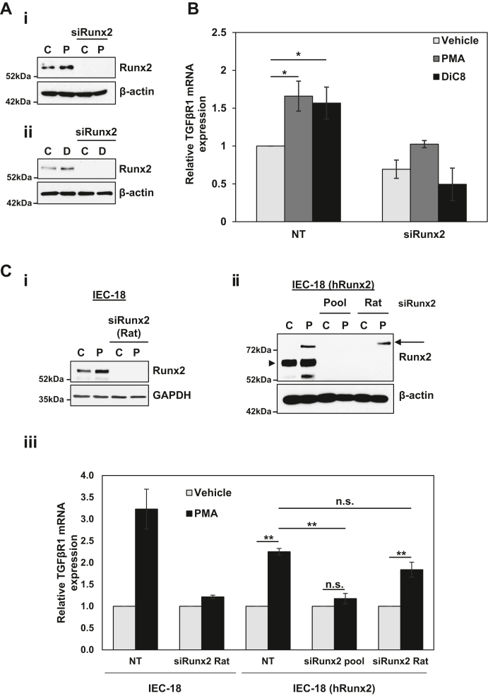 Figure 7