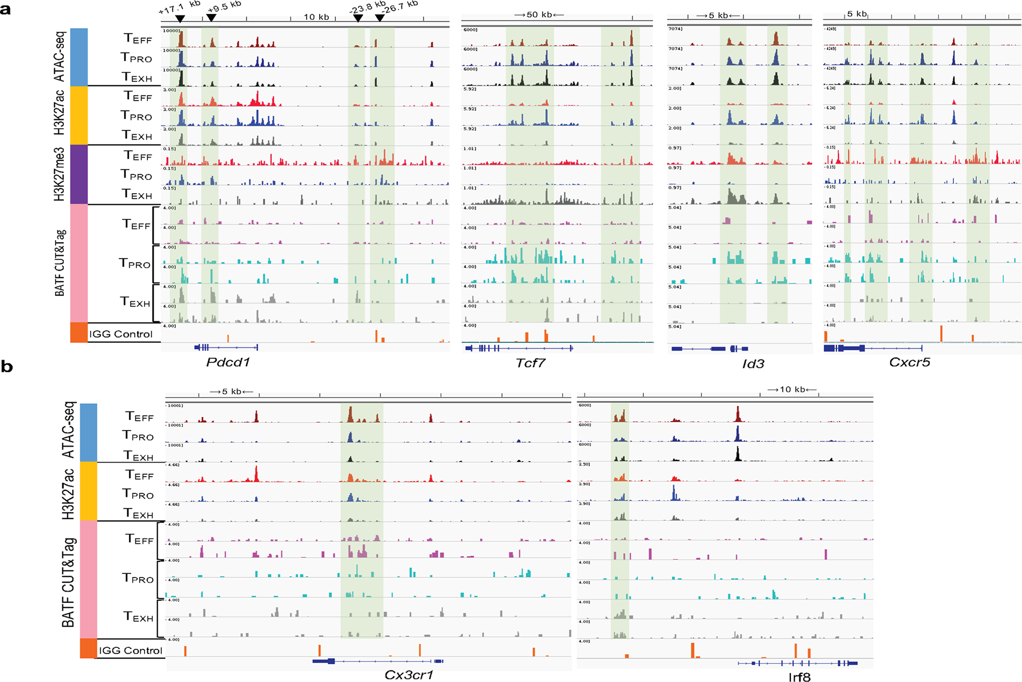 Extended Data Fig. 8 |