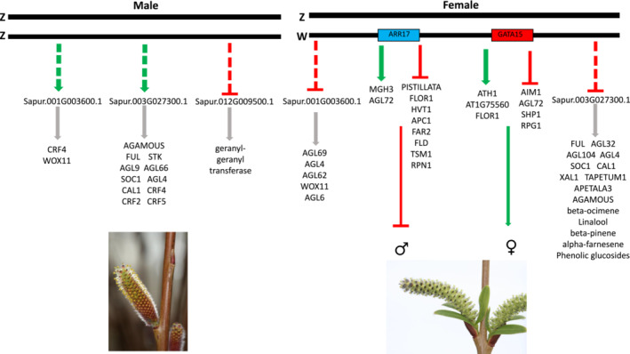 FIGURE 3