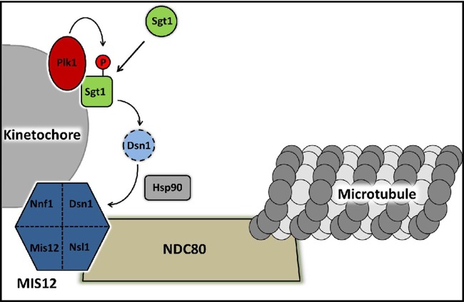 Fig 10