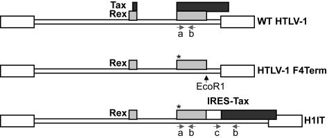 FIG. 1.