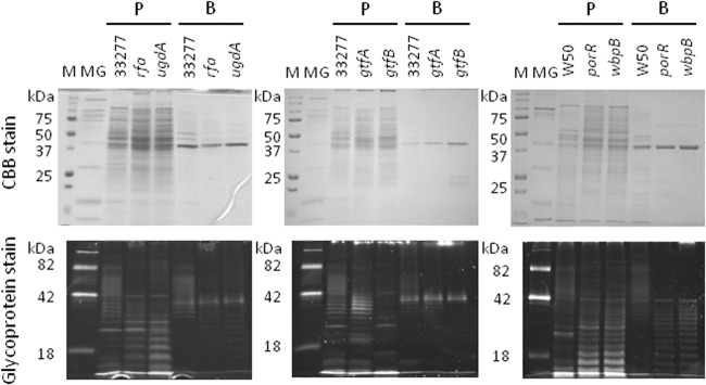 FIG 9