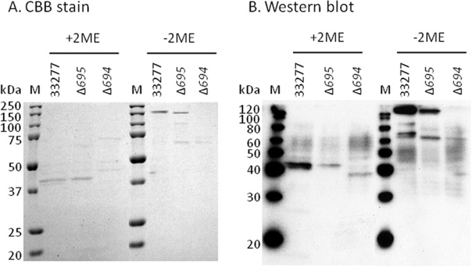 FIG 5