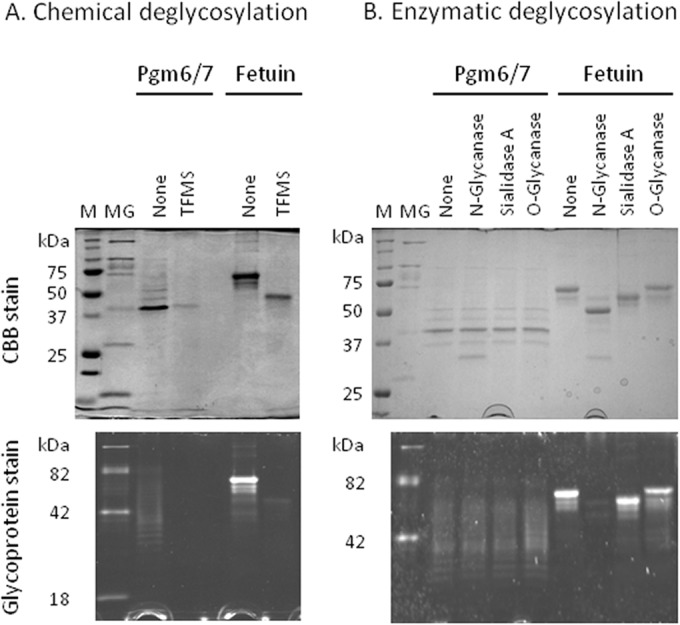 FIG 3