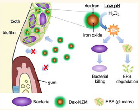 graphic file with name nihms-1054489-f0006.jpg