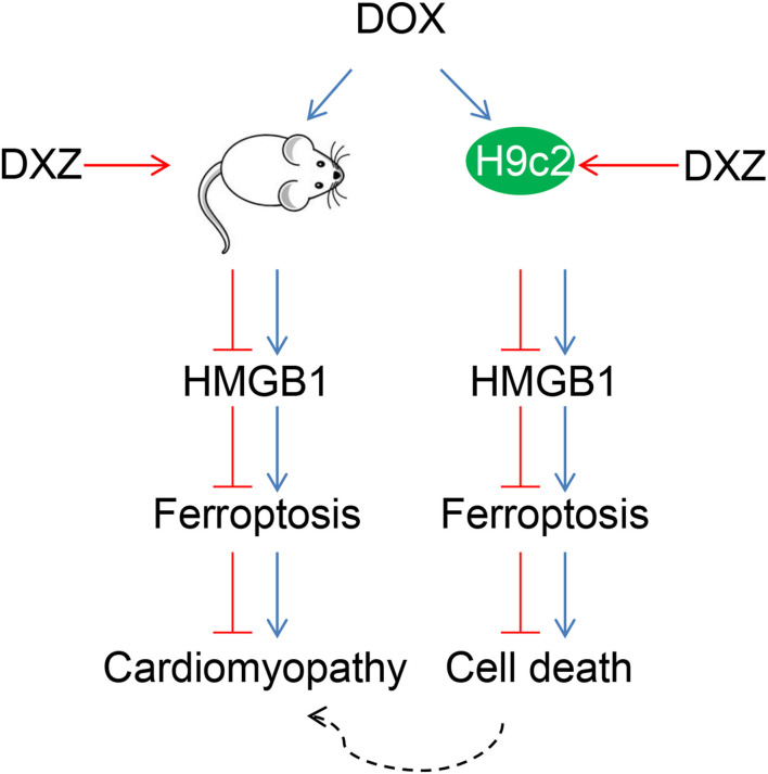 Figure 9