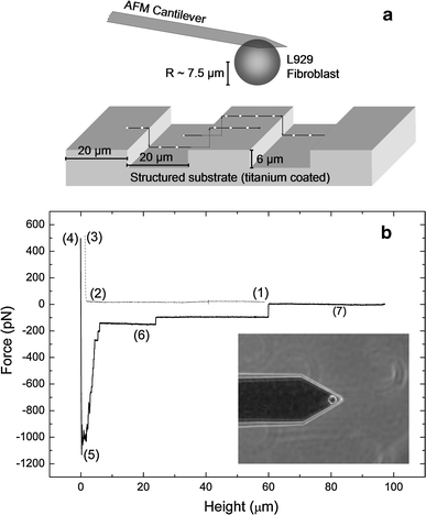 Fig. 1