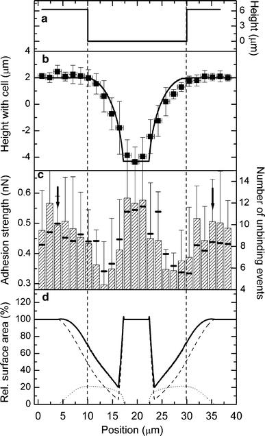 Fig. 5