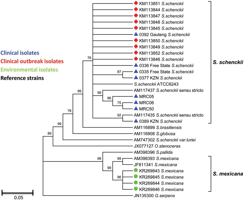 Fig 4