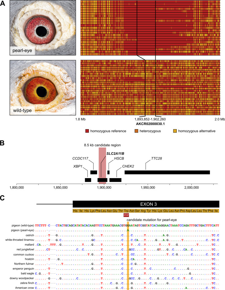 Fig 3