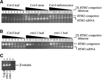 Figure 10.