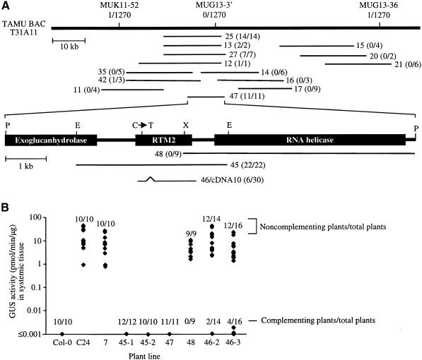 Figure 4.