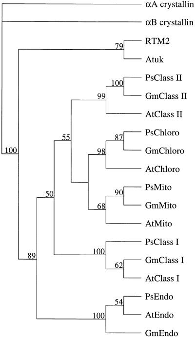 Figure 8.