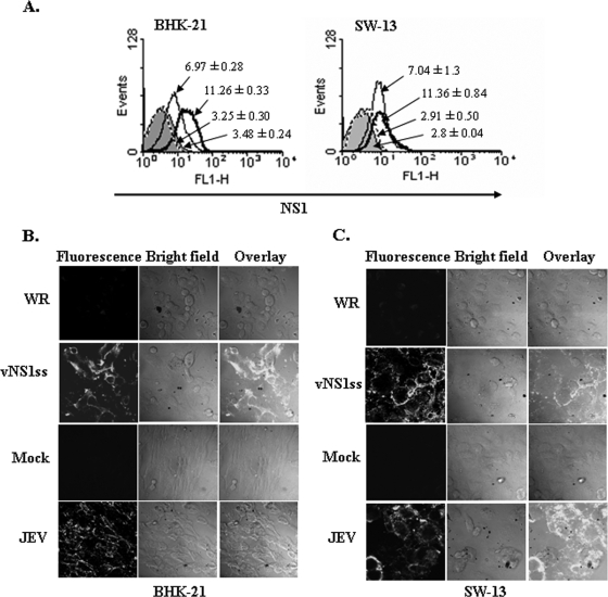 FIG. 2.