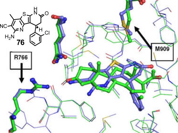 Figure 21