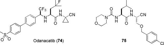 Figure 20