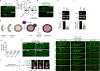 Extended Data Figure 5