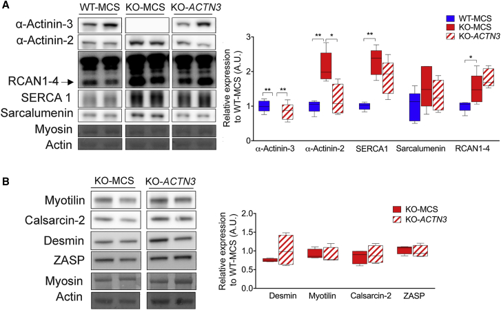 Figure 5