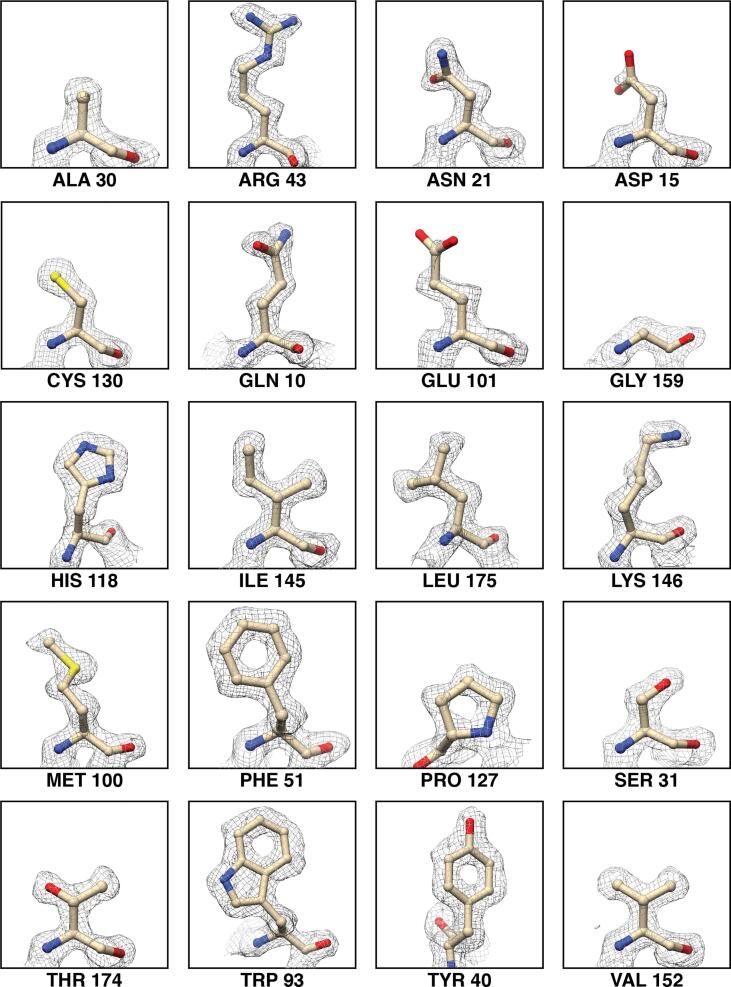 Fig. 3