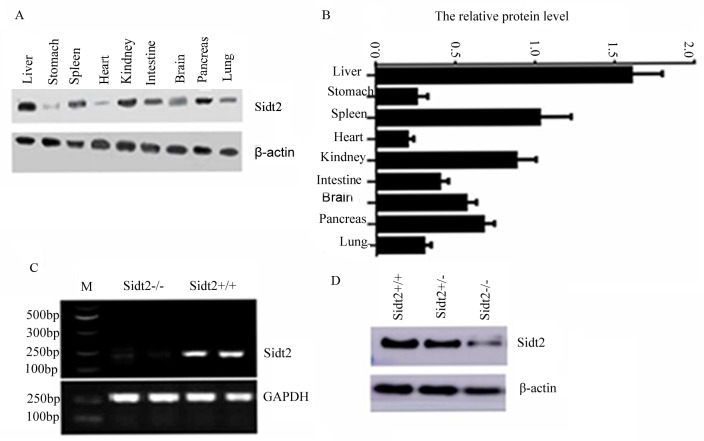 Figure 1.