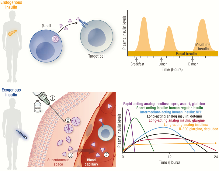 Graphical Abstract