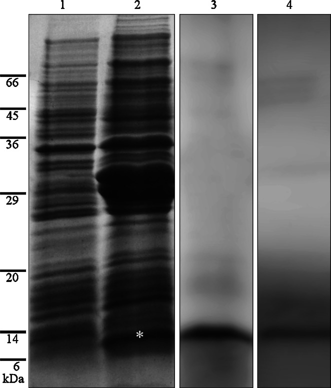 Fig. 2