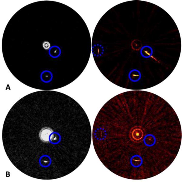 Fig. 7