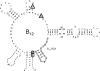 FIG. 2.