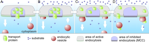 Figure 10.