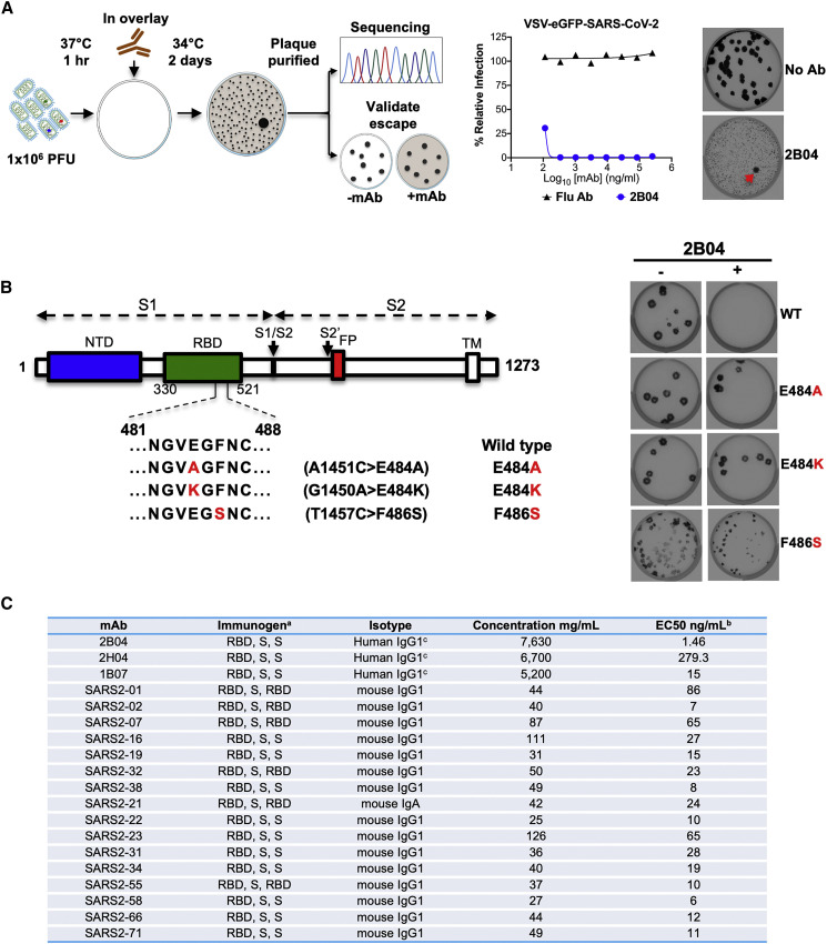 Figure 1