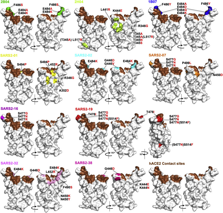 Figure 2