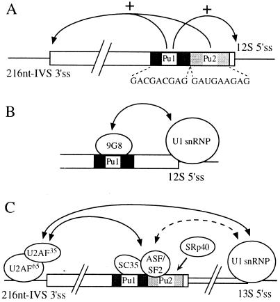 FIG. 6