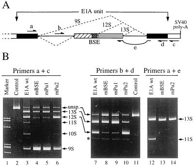 FIG. 5