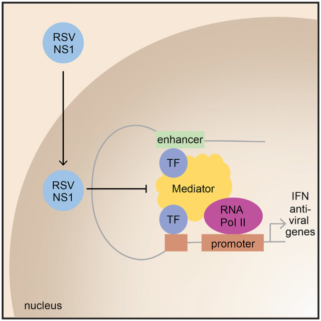 graphic file with name nihms-1749561-f0001.jpg