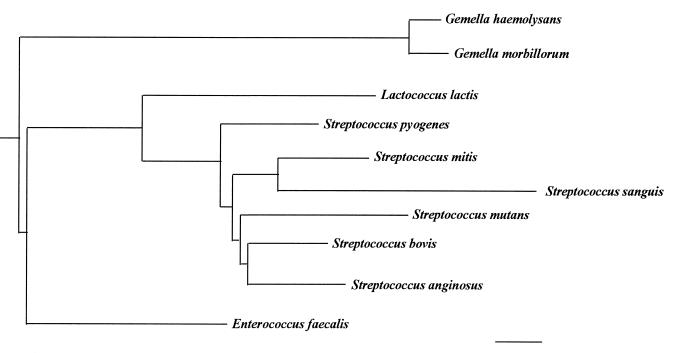 FIG. 1