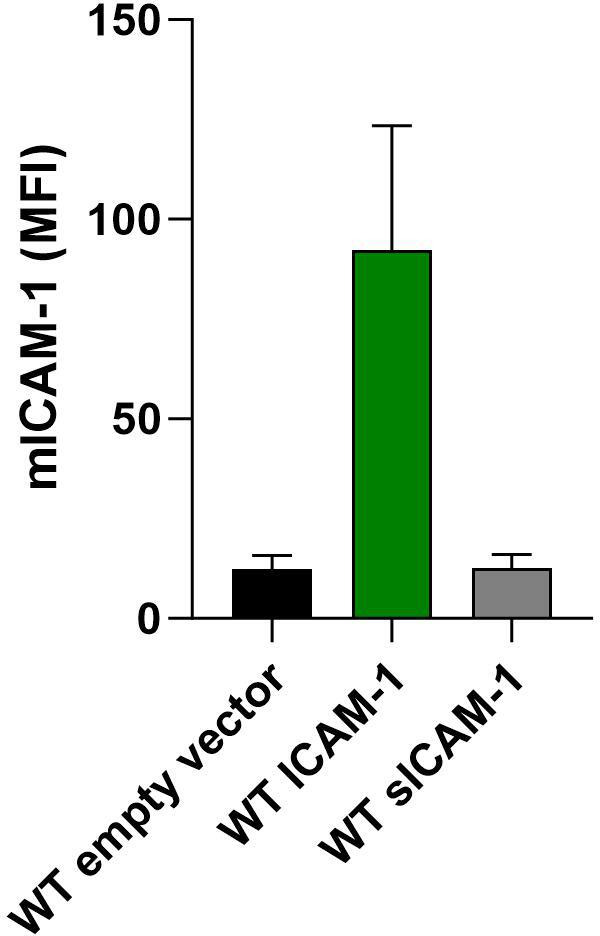 Figure 6—figure supplement 1.