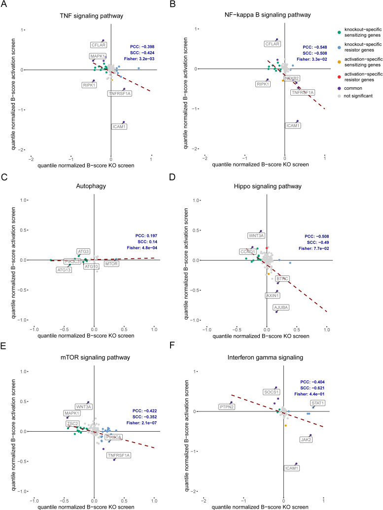 Figure 3—figure supplement 1.