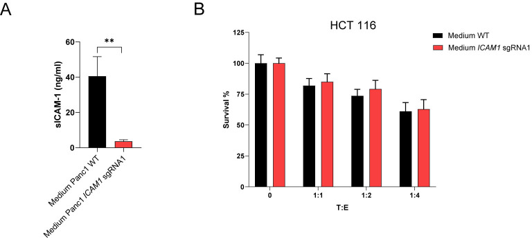 Figure 6—figure supplement 2.