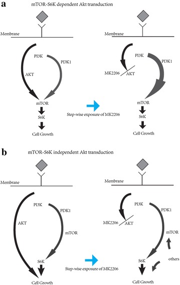 Fig. 7