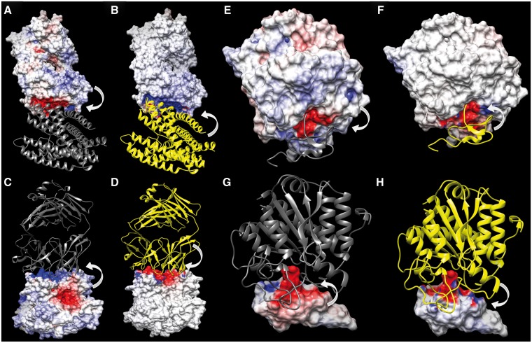 Fig. 6.