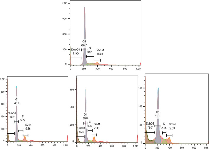 FIGURE 5