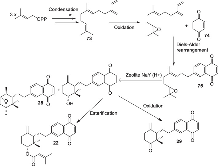 Scheme 2